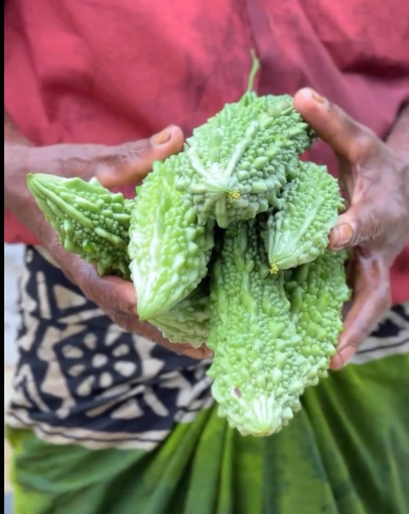 Eco-friendly gardening practices at the hotel.