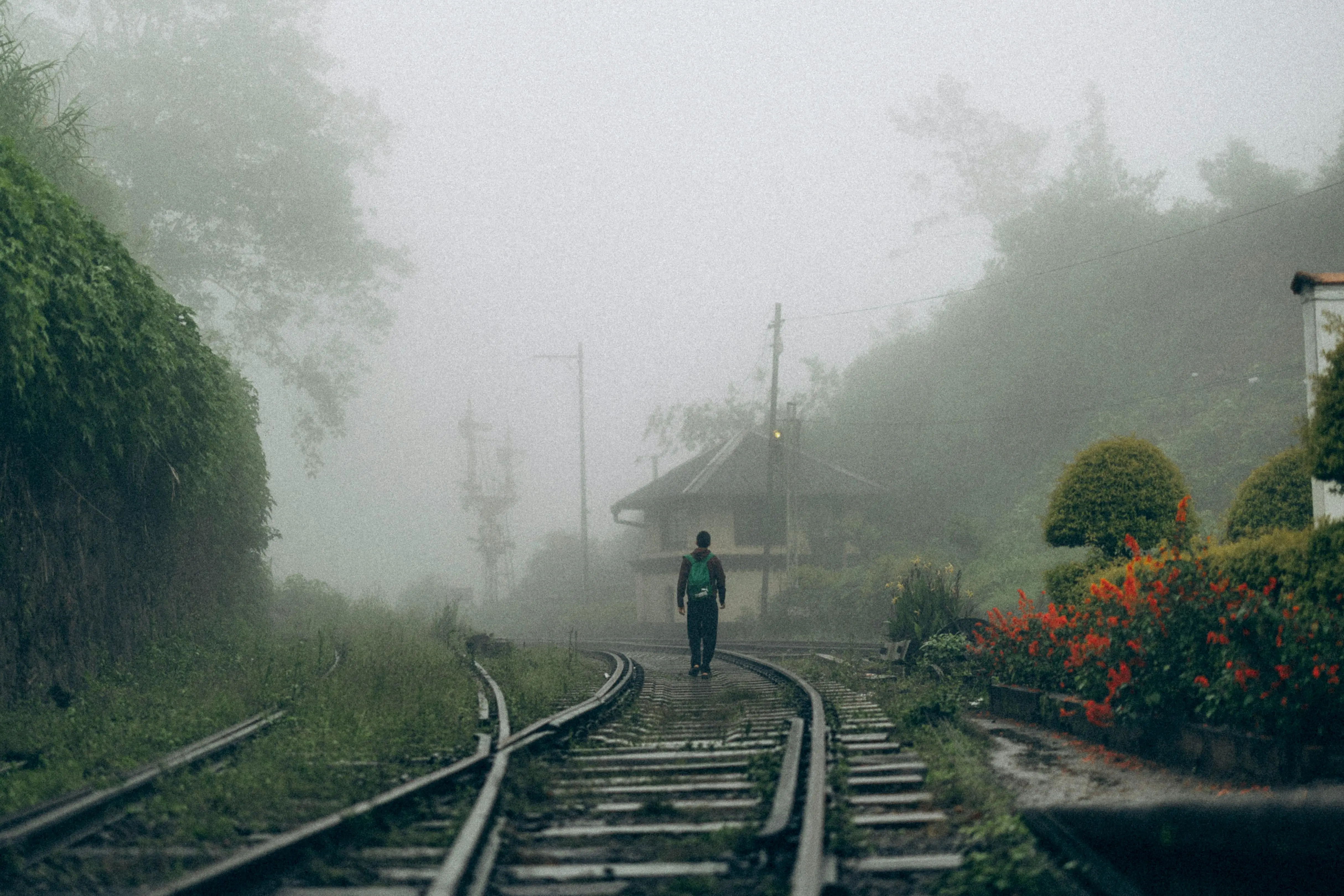 Whale Watching at Mirissa