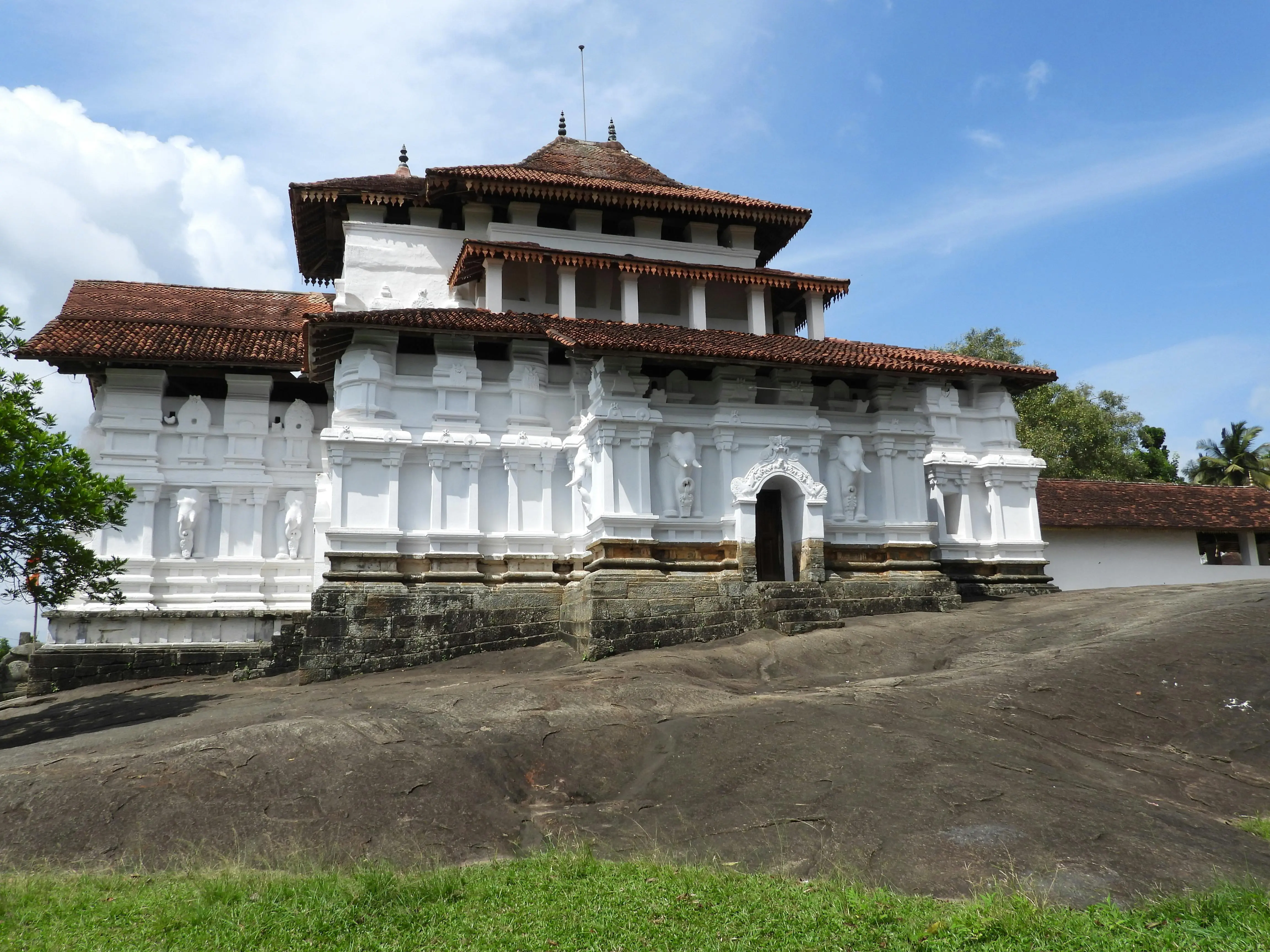 tree canopy in sinharaja